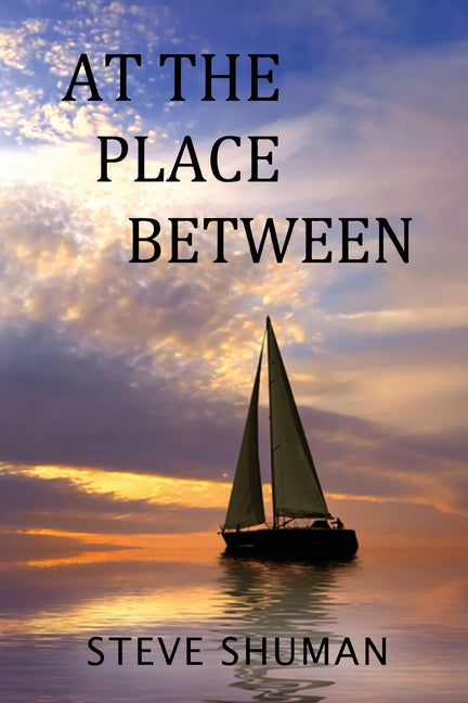 Book cover for At The Place Between