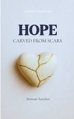 Book cover for Hope Carved From Scars Letters from the Girl Who Survived
