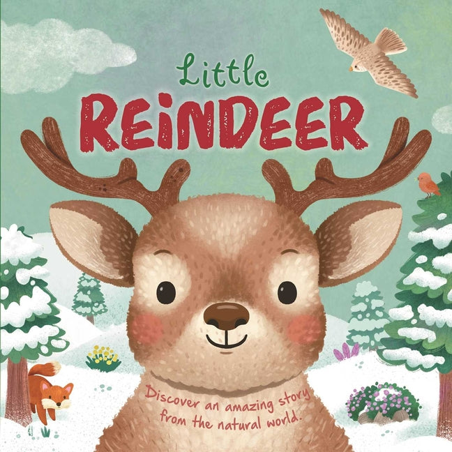 Book cover for Nature Stories: Little Reindeer