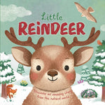 Book cover for Nature Stories: Little Reindeer