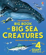 Book cover for Big Book of Big Sea Creatures