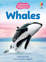 Book cover for Beginners Whales