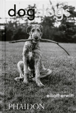 Book cover for Dogdogs
