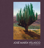 Book cover for Jose Maria Velasco: A View of Mexico