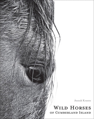 Book cover for Wild Horses of Cumberland Island