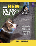 Book cover for ean 9781890948283