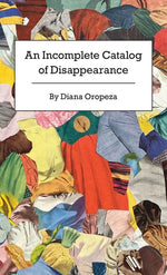 Book cover for Incomplete Catalog of Disappearance