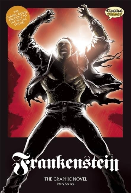 Book cover for Frankenstein the Graphic Novel: Original Text