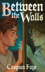 Book cover for Between the Walls