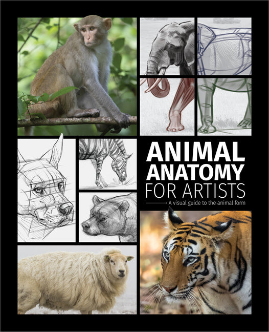 Book cover for Animal Anatomy for Artists: A Visual Guide to the Animal Form
