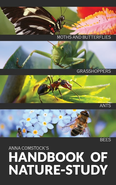Book cover for The Handbook Of Nature Study in Color - Insects