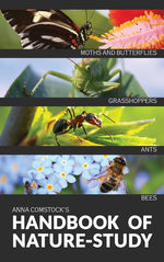 Book cover for The Handbook Of Nature Study in Color - Insects