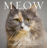 Book cover for Meow: A Book of Happiness for Cat Lovers