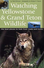 Book cover for Watching Yellowstone & Grand Teton Wildlife