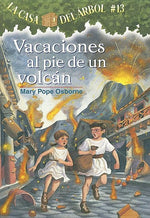 Book cover for Vacaciones al Pie de un Volcan