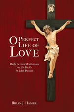 Book cover for O Perfect Life of Love