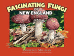 Book cover for Fascinating Fungi of New England