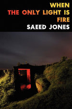 Book cover for When the Only Light Is Fire