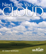 Book cover for Next Time You See a Cloud
