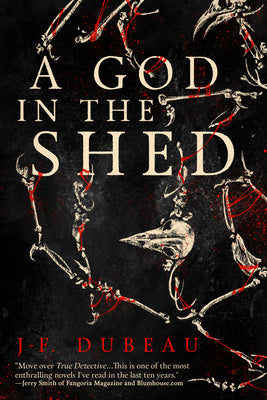 Book cover for A God in the Shed