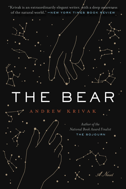 Book cover for The Bear