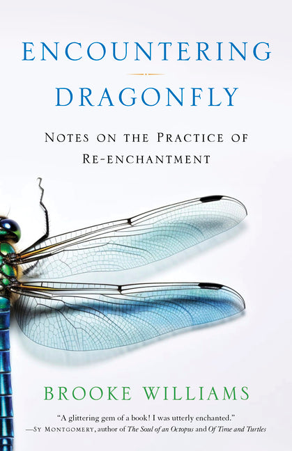 Book cover for Encountering Dragonfly: Notes on the Practice of Re-Enchantment