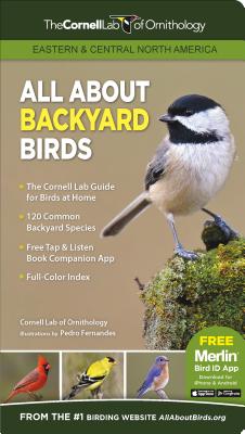 Book cover for All about Backyard Birds- Eastern & Central North America