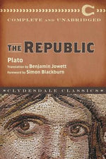 Book cover for The Republic
