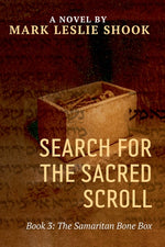 Book cover for Samaritan Bone Box