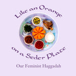 Book cover for Like an Orange on a Seder Plate: Our Feminist Haggadah