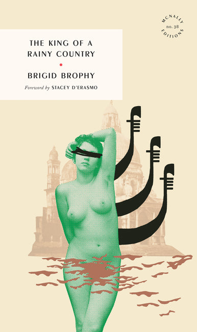 Book cover for King of a Rainy Country