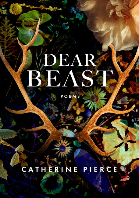 Book cover for Dear Beast