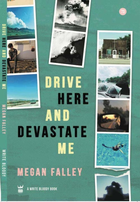 Book cover for Drive Here and Devastate Me