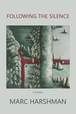 Book cover for Following the Silence