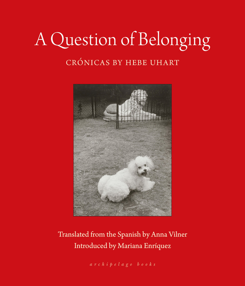 Book cover for A Question of Belonging: Crónicas