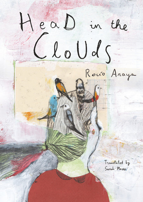 Book cover for Head in the Clouds