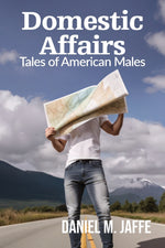 Book cover for Domestic Affairs: Tales of American Males