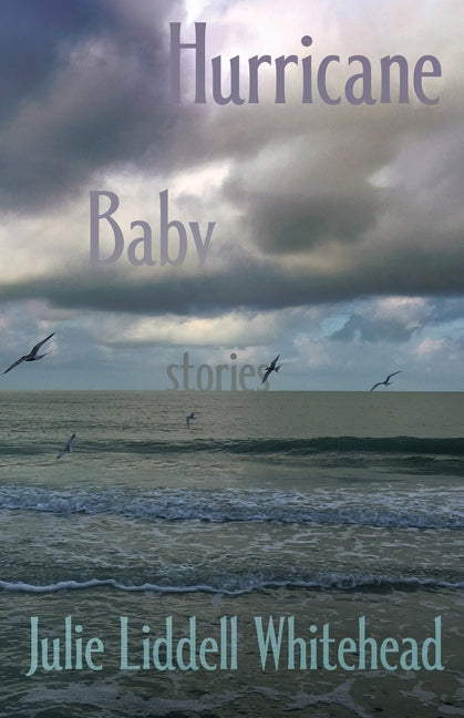 Book cover for Hurricane Baby: Stories