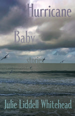 Book cover for Hurricane Baby: Stories