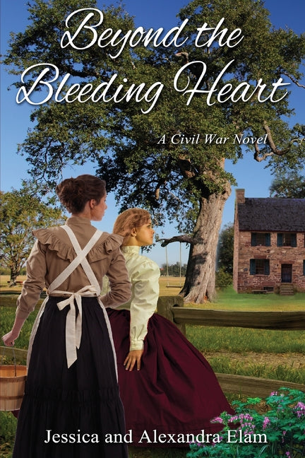 Book cover for Beyond the Bleeding Heart: A Tale of the American Civil War