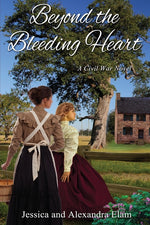 Book cover for Beyond the Bleeding Heart: A Tale of the American Civil War