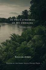 Book cover for In the Cathedral of My Undoing