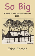 Book cover for So Big