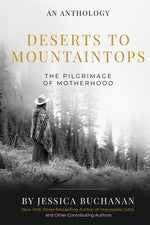 Book cover for Deserts to Mountaintops: The Pilgrimage of Motherhood