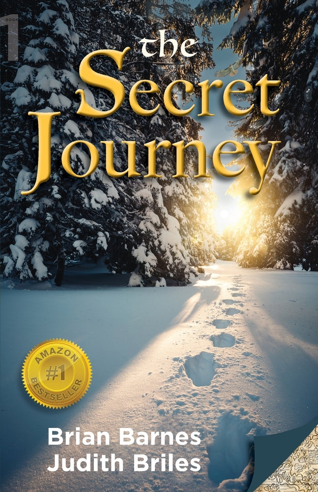 Book cover for The Secret Journey