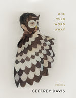 Book cover for One Wild Word Away