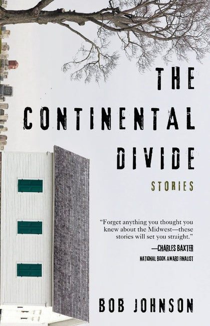 Book cover for Continental Divide: Stories