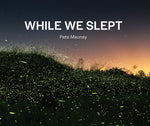 Book cover for While We Slept