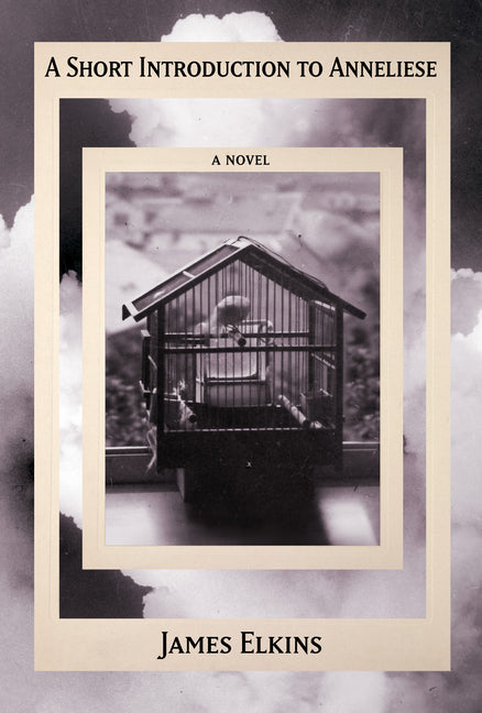 Book cover for Short Introduction to Anneliese