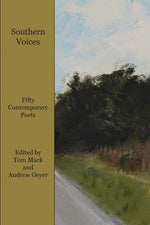 Book cover for Southern Voices